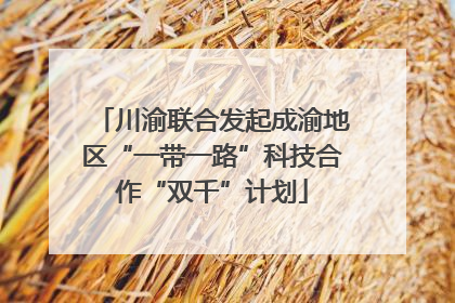 川渝联合发起成渝地区“一带一路”科技合作“双千”计划