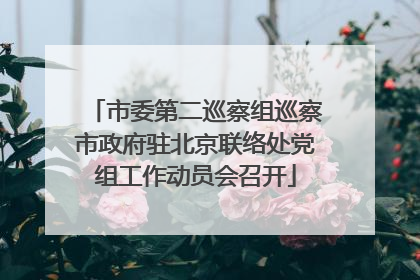 市委第二巡察组巡察市政府驻北京联络处党组工作动员会召开