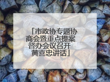 市政协专题协商会暨重点提案督办会议召开 黄喜忠讲话