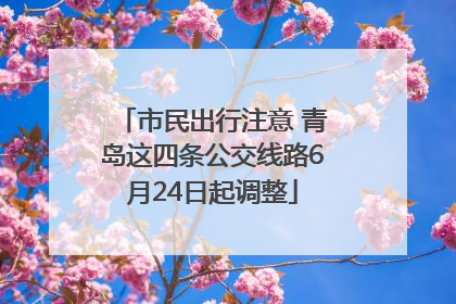 市民出行注意 青岛这四条公交线路6月24日起调整