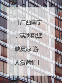 广西南宁：满池粉黛映夏凉 游人赏荷忙