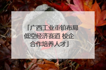 广西工业重镇布局低空经济赛道 校企合作培养人才