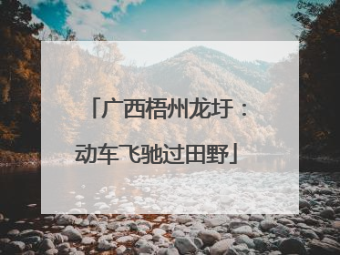 广西梧州龙圩：动车飞驰过田野