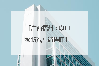 广西梧州：以旧换新汽车销售旺