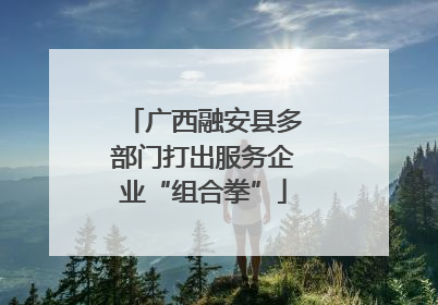 广西融安县多部门打出服务企业“组合拳”