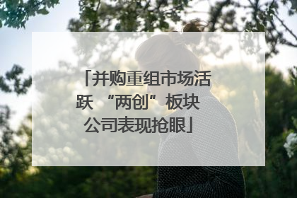 并购重组市场活跃 “两创”板块公司表现抢眼