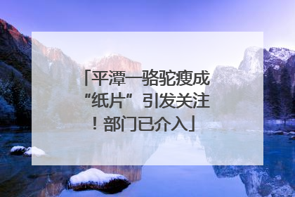平潭一骆驼瘦成“纸片”引发关注！部门已介入