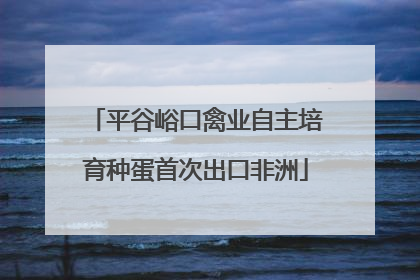 平谷峪口禽业自主培育种蛋首次出口非洲