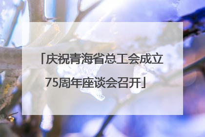 庆祝青海省总工会成立75周年座谈会召开