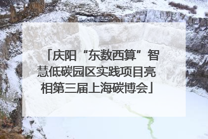 庆阳“东数西算”智慧低碳园区实践项目亮相第三届上海碳博会