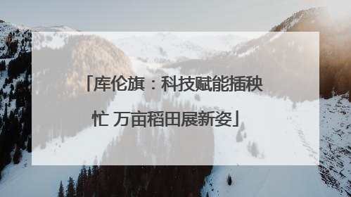 库伦旗：科技赋能插秧忙 万亩稻田展新姿