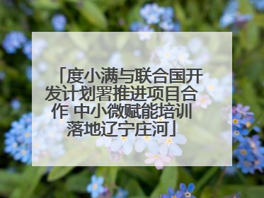 度小满与联合国开发计划署推进项目合作 中小微赋能培训落地辽宁庄河