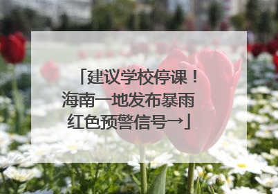 建议学校停课！海南一地发布暴雨红色预警信号→