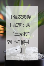 强农先锋丨张萍：从“三无村”到“样板村”