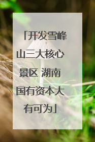 开发雪峰山三大核心景区 湖南国有资本大有可为
