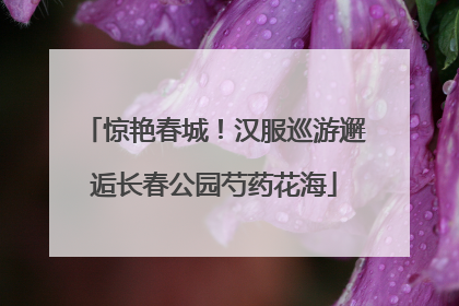 惊艳春城！汉服巡游邂逅长春公园芍药花海