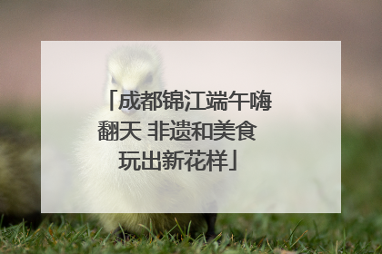 成都锦江端午嗨翻天 非遗和美食玩出新花样