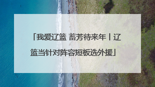 我爱辽篮 蓄芳待来年丨辽篮当针对阵容短板选外援