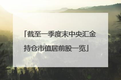 截至一季度末中央汇金持仓市值居前股一览