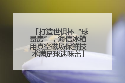 打造世俱杯“球景房”,海信冰箱用真空磁场保鲜技术满足球迷味蕾