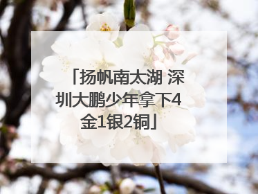 扬帆南太湖 深圳大鹏少年拿下4金1银2铜