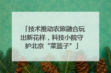 技术推动农旅融合玩出新花样，科技小院守护北京“菜篮子”