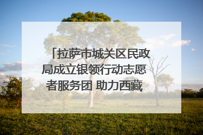拉萨市城关区民政局成立银领行动志愿者服务团 助力西藏银发经济发展