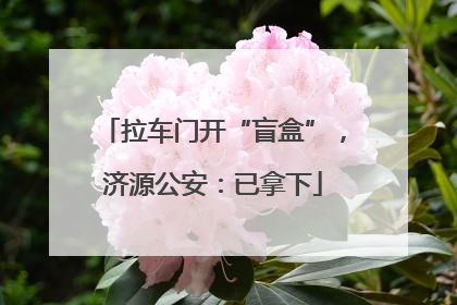 拉车门开“盲盒”，济源公安：已拿下