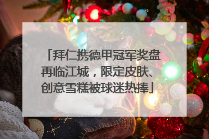 拜仁携德甲冠军奖盘再临江城，限定皮肤、创意雪糕被球迷热捧