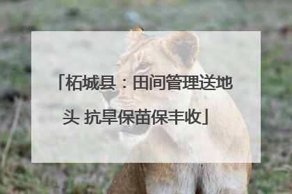 柘城县：田间管理送地头 抗旱保苗保丰收