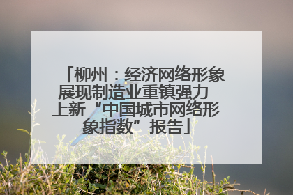 柳州：经济网络形象展现制造业重镇强力 上新“中国城市网络形象指数”报告