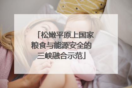 松嫩平原上国家粮食与能源安全的三峡融合示范
