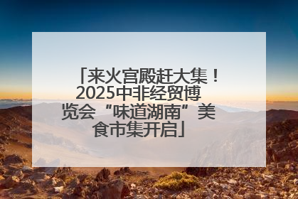 来火宫殿赶大集！2025中非经贸博览会“味道湖南”美食市集开启