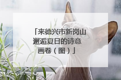 来德兴市新岗山 邂逅夏日的诗意画卷（图）