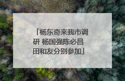 杨东奇来我市调研 杨国强陈必昌田和友分别参加