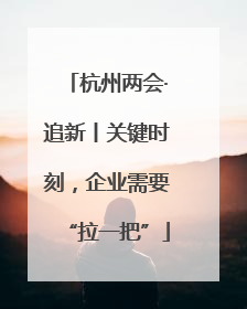 杭州两会·追新丨关键时刻，企业需要“拉一把”
