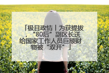 极目政情丨为获提拔，“80后”副区长送给国家工作人员巨额财物被“双开”