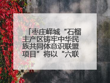枣庄峄城“石榴主产区铸牢中华民族共同体意识联盟项目”将以“六联”活动为抓手深化品牌建设