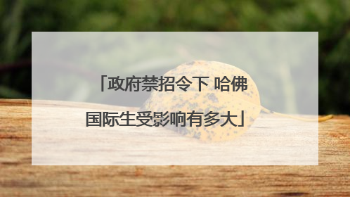 政府禁招令下 哈佛国际生受影响有多大