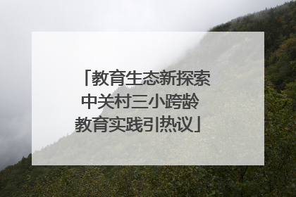 教育生态新探索 中关村三小跨龄教育实践引热议