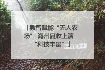 数智赋能“无人农场” 海州夏收上演“科技丰景”