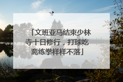 文班亚马结束少林寺十日修行，打球吃斋练拳样样不落