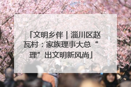 文明乡伴｜淄川区赵瓦村：家族理事大总“理”出文明新风尚