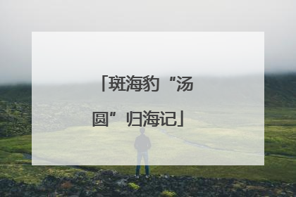 斑海豹“汤圆”归海记