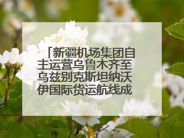 新疆机场集团自主运营乌鲁木齐至乌兹别克斯坦纳沃伊国际货运航线成功首航