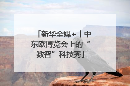 新华全媒+丨中东欧博览会上的“数智”科技秀
