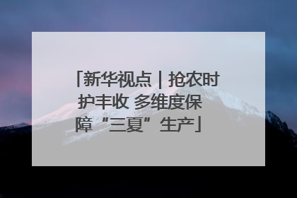 新华视点｜抢农时 护丰收 多维度保障“三夏”生产
