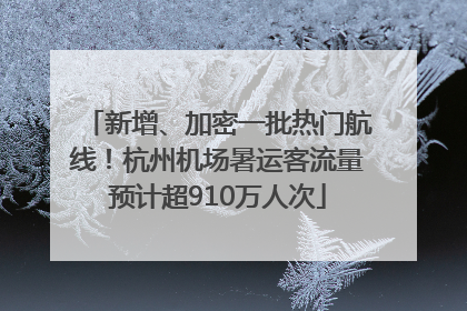 新增、加密一批热门航线！杭州机场暑运客流量预计超910万人次