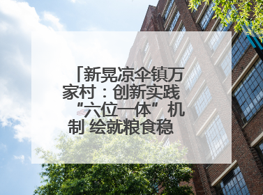 新晃凉伞镇万家村：创新实践“六位一体”机制 绘就粮食稳产增收新图景