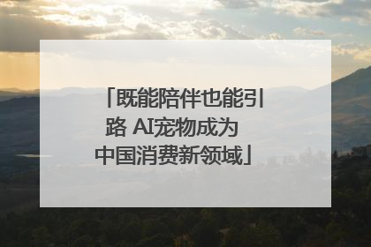 既能陪伴也能引路 AI宠物成为中国消费新领域